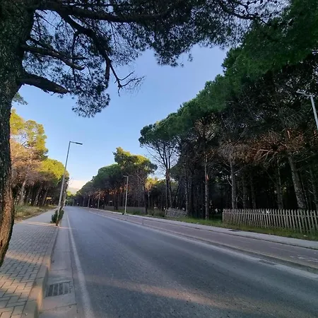 Dhoma Plazhi Agimi Vlorë