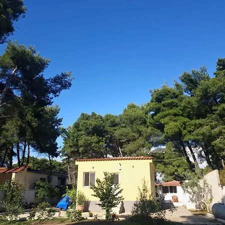 Dhoma Plazhi Agimi