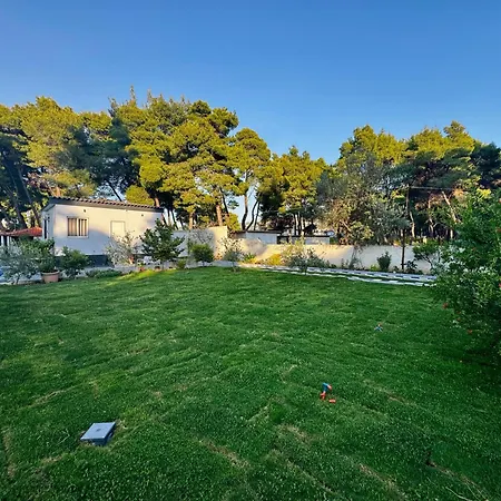 Dhoma Plazhi Agimi