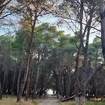 Dhoma Plazhi Agimi * Vlorë