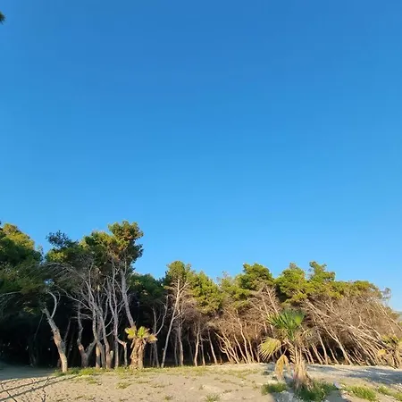 Dhoma Plazhi Agimi * Wlora