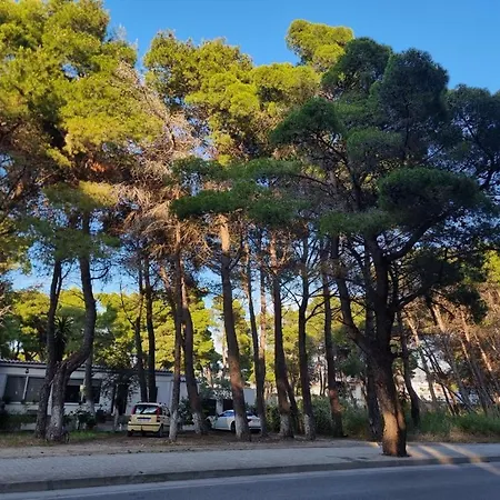 Apartament Dhoma Plazhi Agimi Wlora