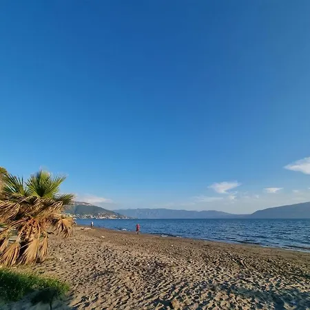 Dhoma Plazhi Agimi *