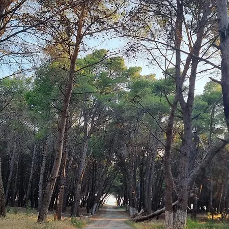 Dhoma Plazhi Agimi * Wlora