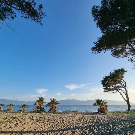 Dhoma Plazhi Agimi Apartment Vlore