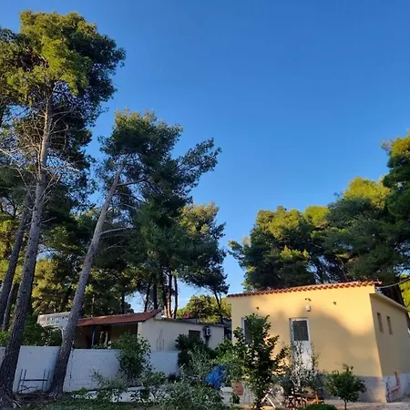 Dhoma Plazhi Agimi * Vlore