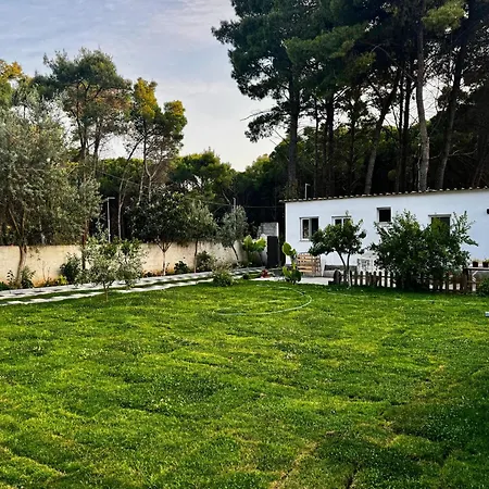 公寓 Dhoma Plazhi Agimi Vlorë