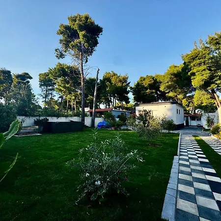 Dhoma Plazhi Agimi Apartment *