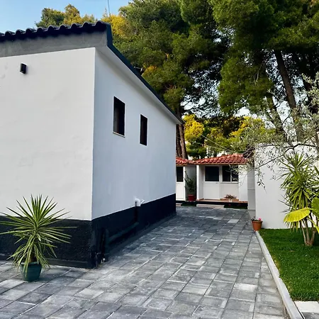 公寓 Dhoma Plazhi Agimi Vlorë