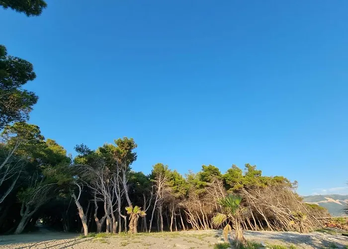 Dhoma Plazhi Agimi * Vlorë