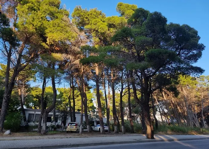 公寓 Dhoma Plazhi Agimi Vlorë