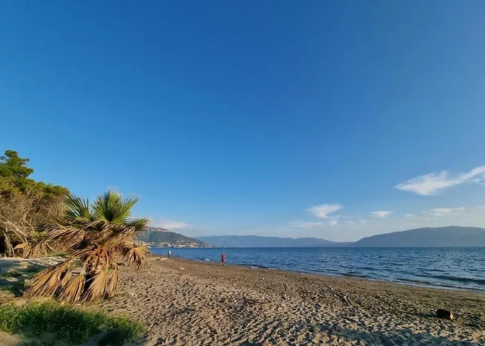 Dhoma Plazhi Agimi *