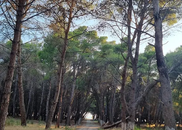 Dhoma Plazhi Agimi * Vlorë