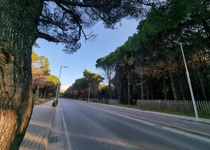 Dhoma Plazhi Agimi Vlorë